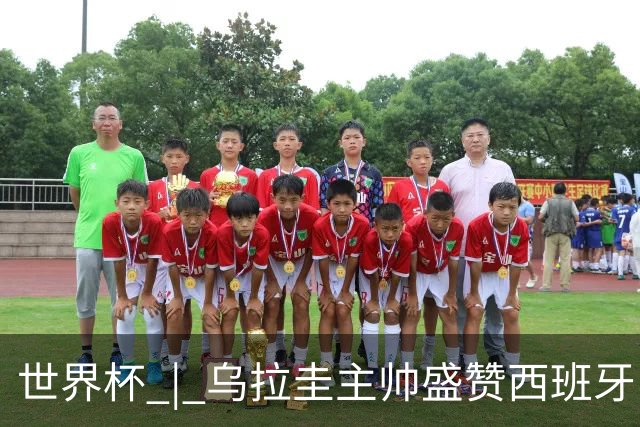 世界杯 | 乌拉圭主帅盛赞西班牙“精致足球”