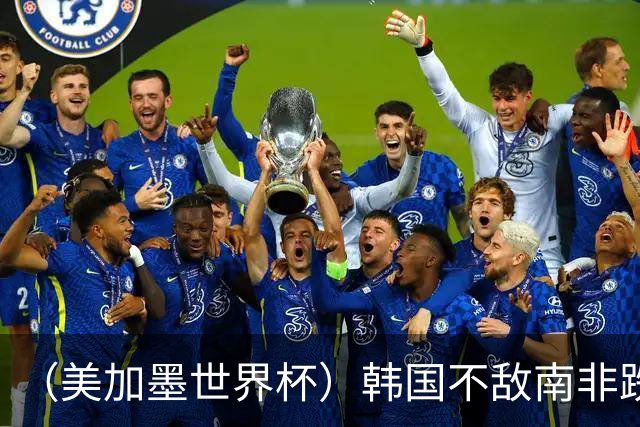 （美加墨世界杯）韩国不敌南非跌至小组第三 出线前景待定